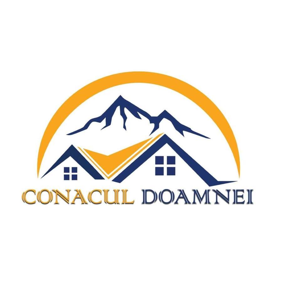 Conacul Doamnei Corbi Exterior foto